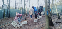 Lesna-kwatera-6b34